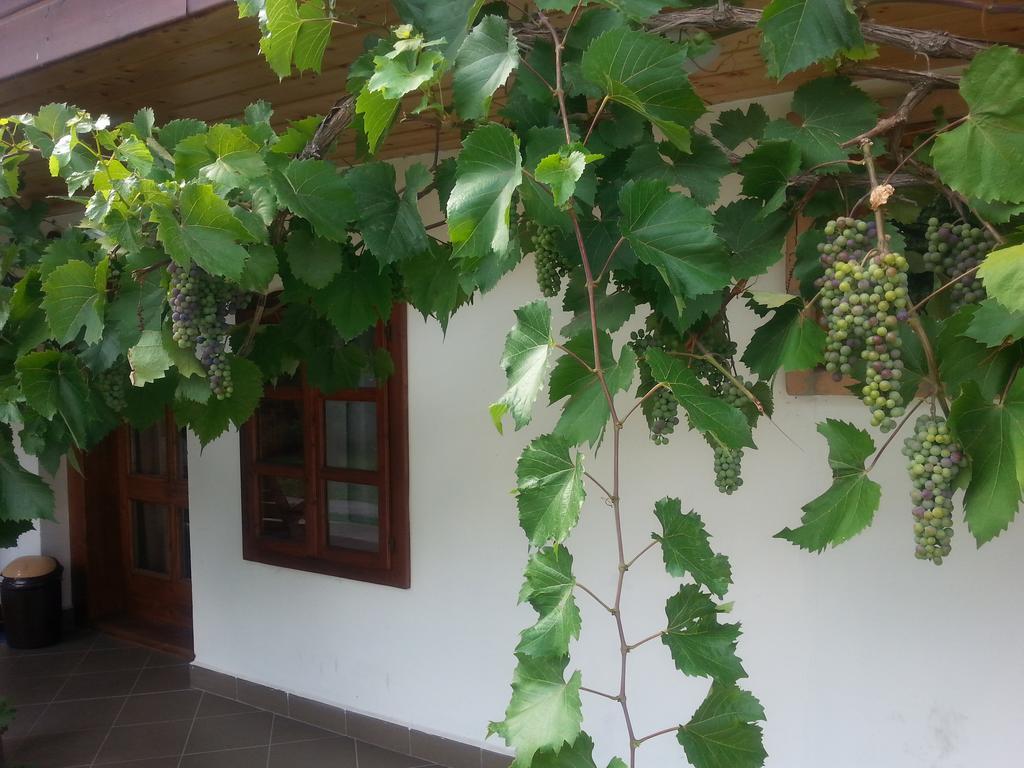 Lugas Vendeghaz Hotel Felsotold Exterior photo